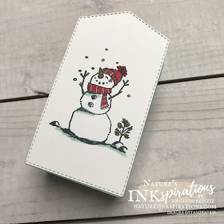 Snowman Season Project inspired by Gifts Galore Paper Pumpkin Kit