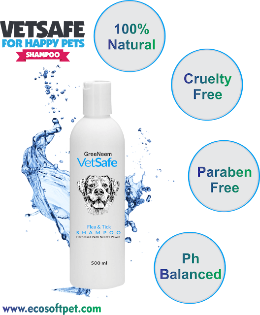VetSafe Dog Shampoo