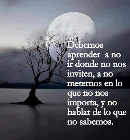 Resultado de imagen para reflexion imagenes de frases motivadoras