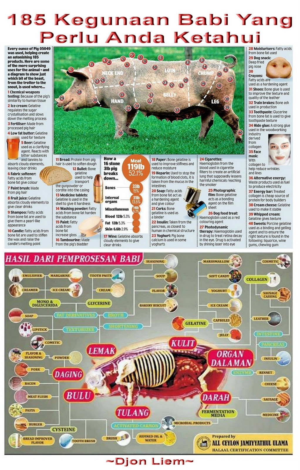 185 Kegunaan Babi Yang Perlu Anda Ketahui Fakta Babi