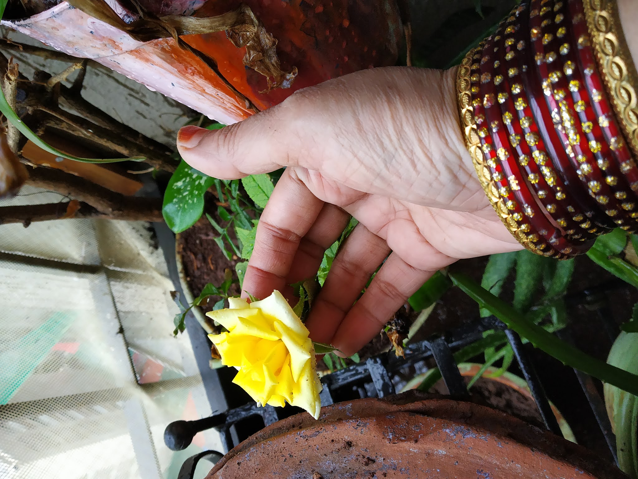 Garden Care Simplified symbolism of broken flower garlands and why you will always check puja