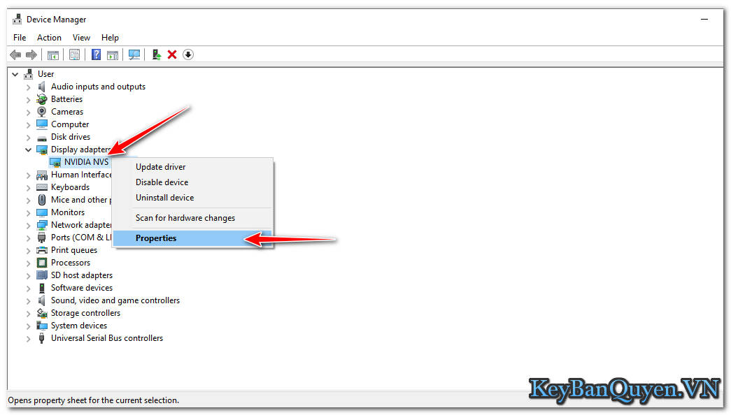Windows 10 display adapter driver wheeljuja