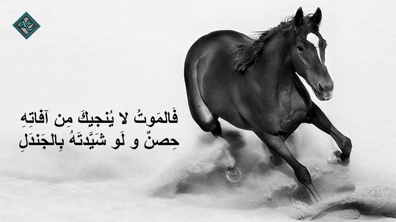 1 اقوال ممتازة شعر عن عزة النفس في الحب