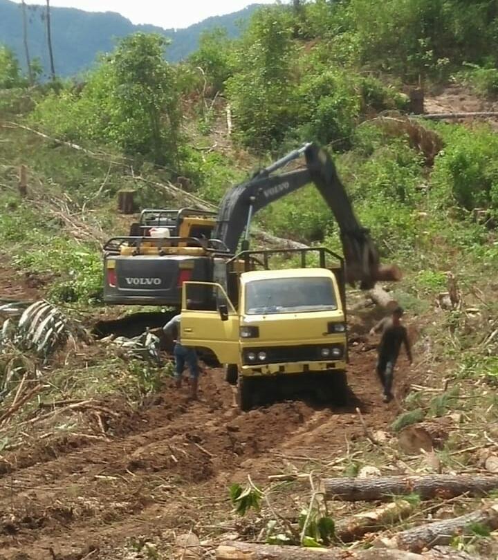 Kph Wilayah Iv Balige Kabupaten Toba Dituding Abaikan Surat