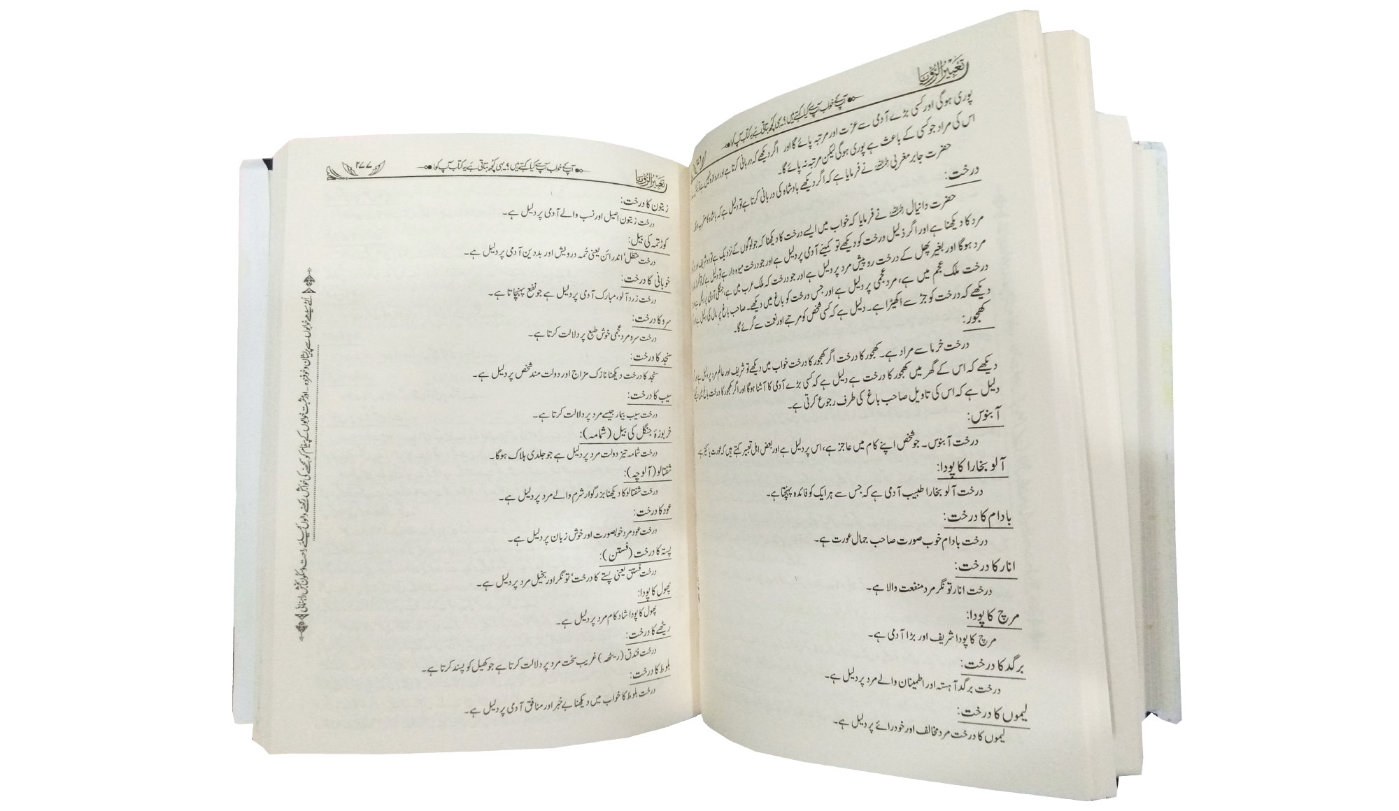Tabir Al Royah (Khuwabon Ki Tabeerain) - Image 3