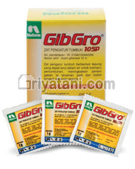 GibGro 10 SP