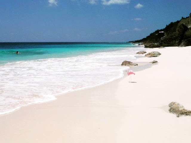 Plastic lawn flamingo on beautiful beach