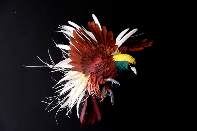 Paper Birds Craft Work | Diana Herrera Beltran