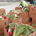 Florida Farmers are Selling Directly to Consumers to Avoid Produce Dumps