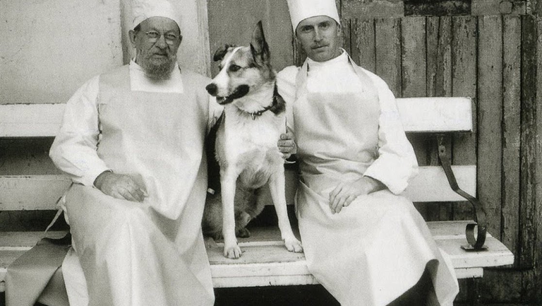 Sobache serdtse (1988) Köpek Kalbi