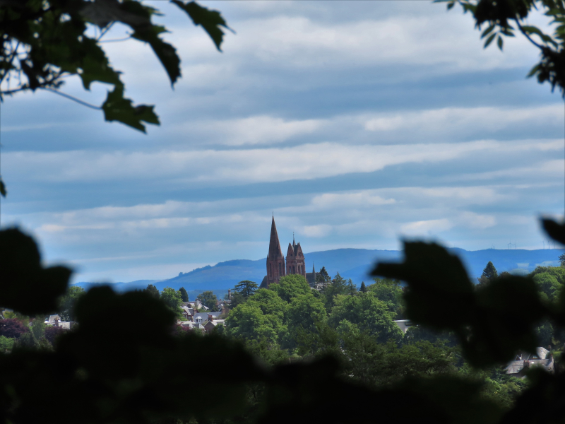 B's Photos Laggan Hill Walk (Crieff, Perthshire, Scotland)