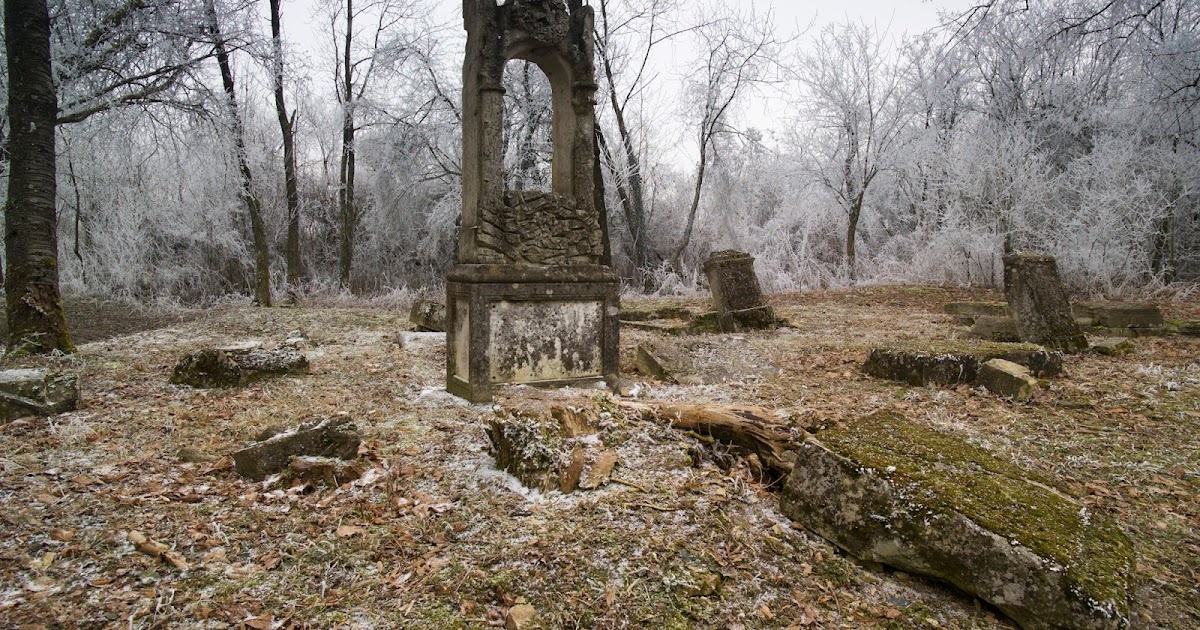 World War I Bridges - WW1 Centenary from the river Piave: Exhibition