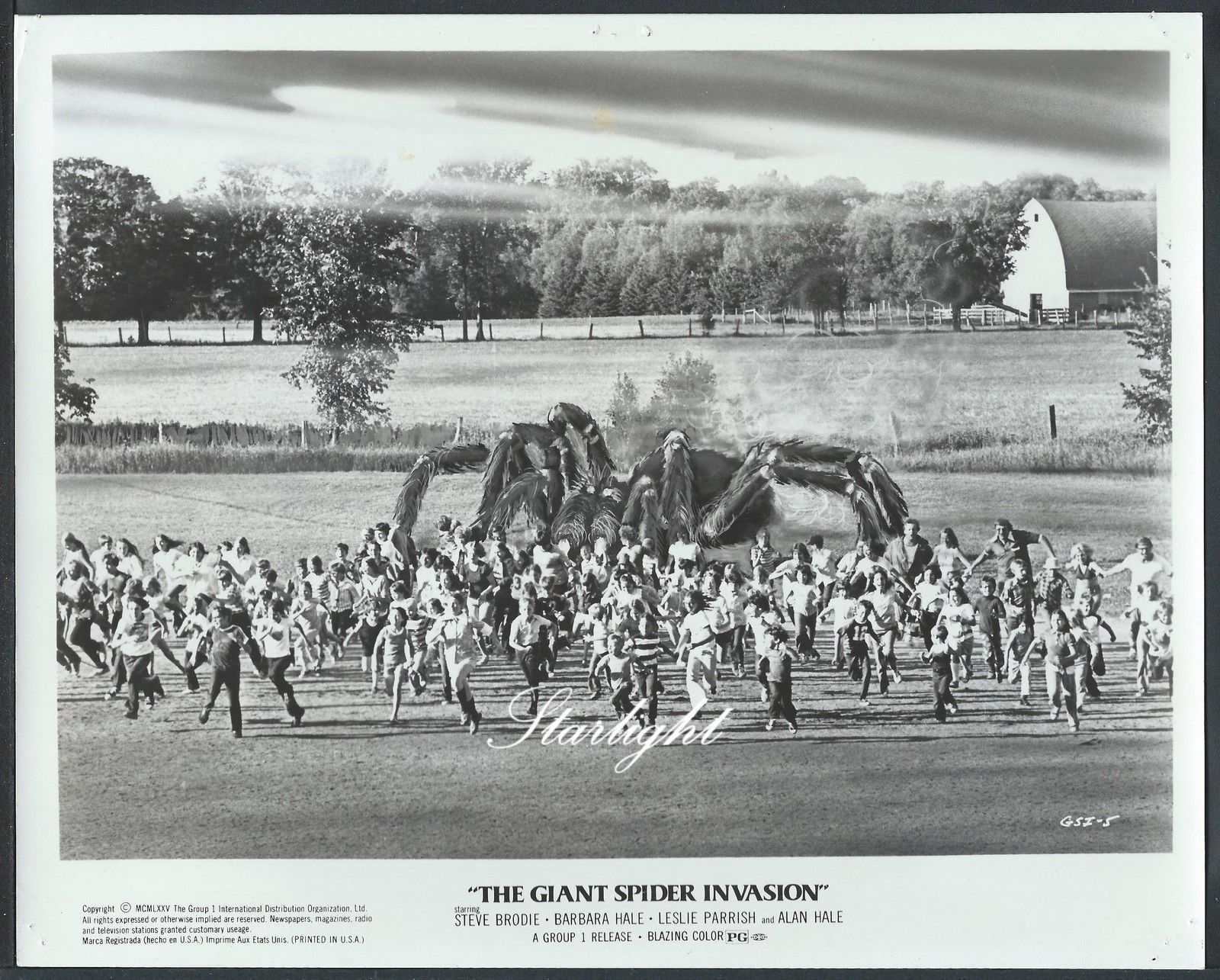 Californias Hidden Horror The White Spider Invasion - ip4syu2