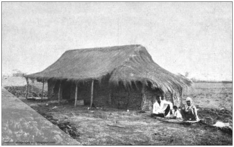 ImagesGuyana The East Indians in British Guiana