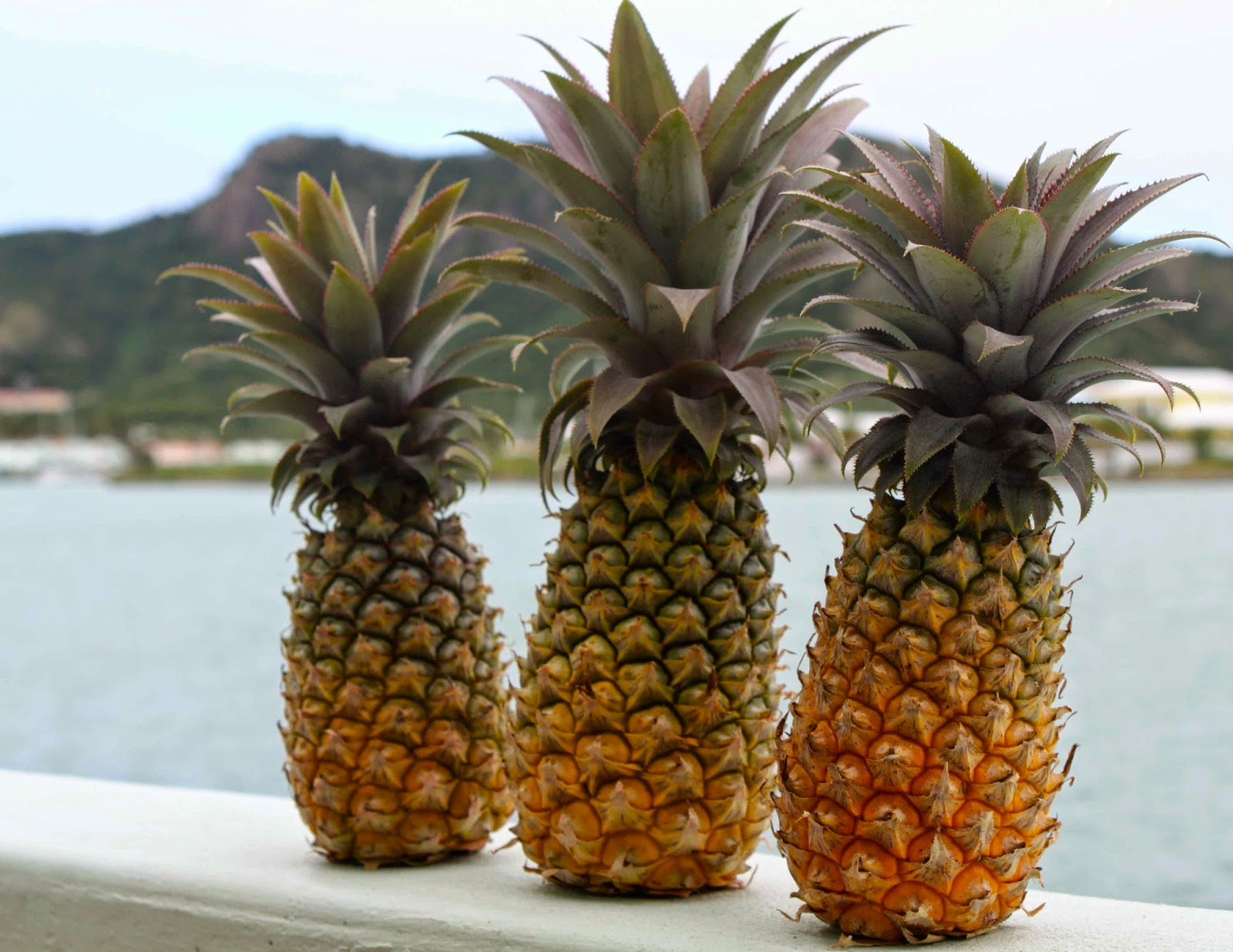 manfaat buah nanas