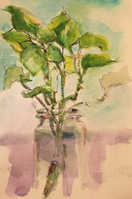 watercolor of ivy in glass jar with ballpoint ink outlines