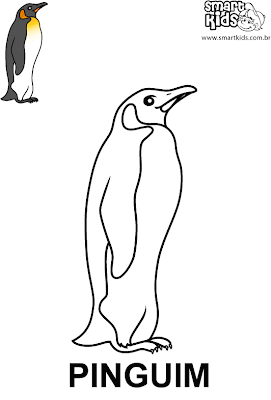 pinguim - Desenhos de Animais para Colorir e Imprimir