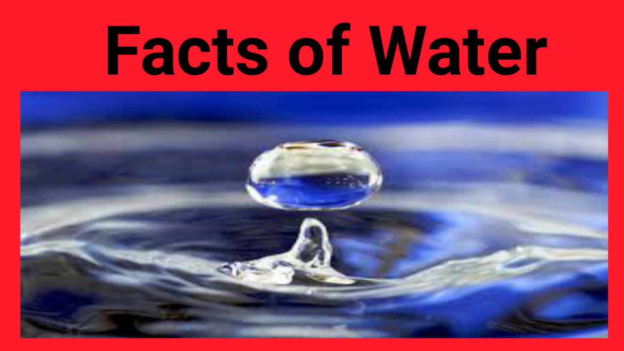 fascinating facts about water essay