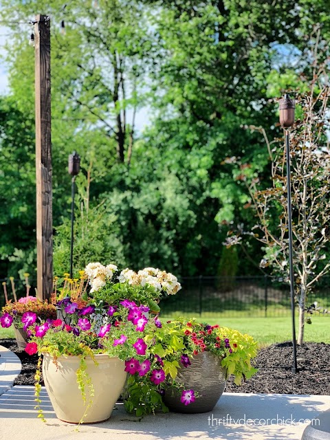 spilling filler flowers in containers