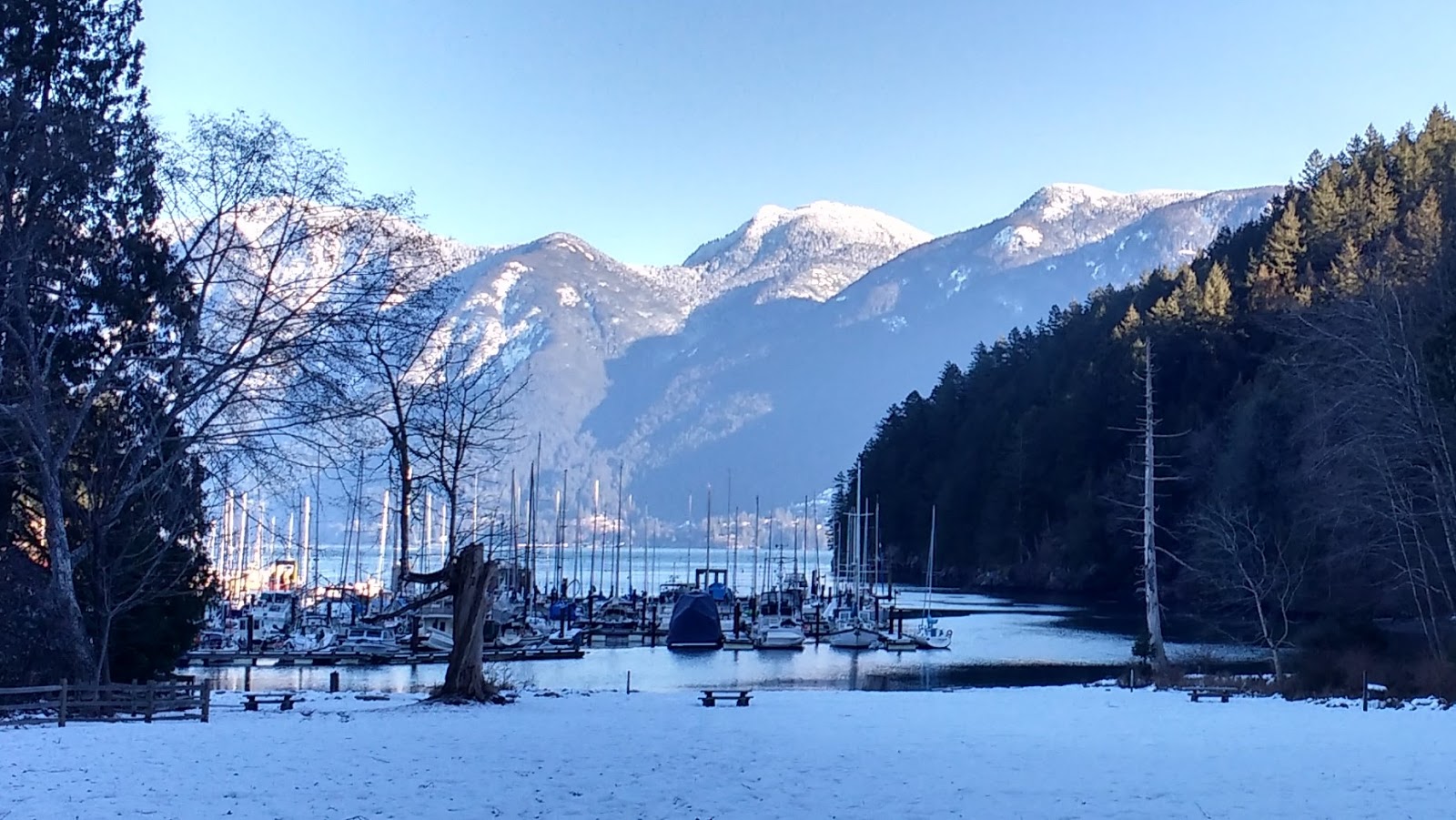 foottoearth Bowen Hiking 26 Dorman Point