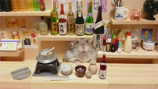 Un chouette restaurant japonais tenu par des petits hamsters  Un%2Brestaurant%2Btenu%2Bpar%2Bdes%2Bhamsters%2Bphoto%2B8