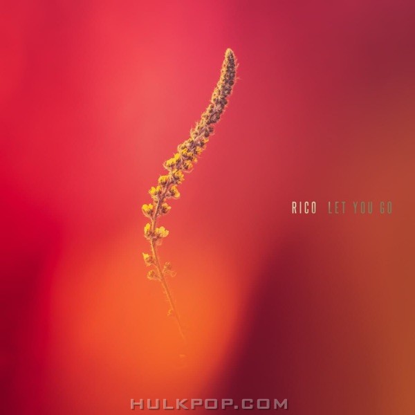 Rico – Let You Go – Single
