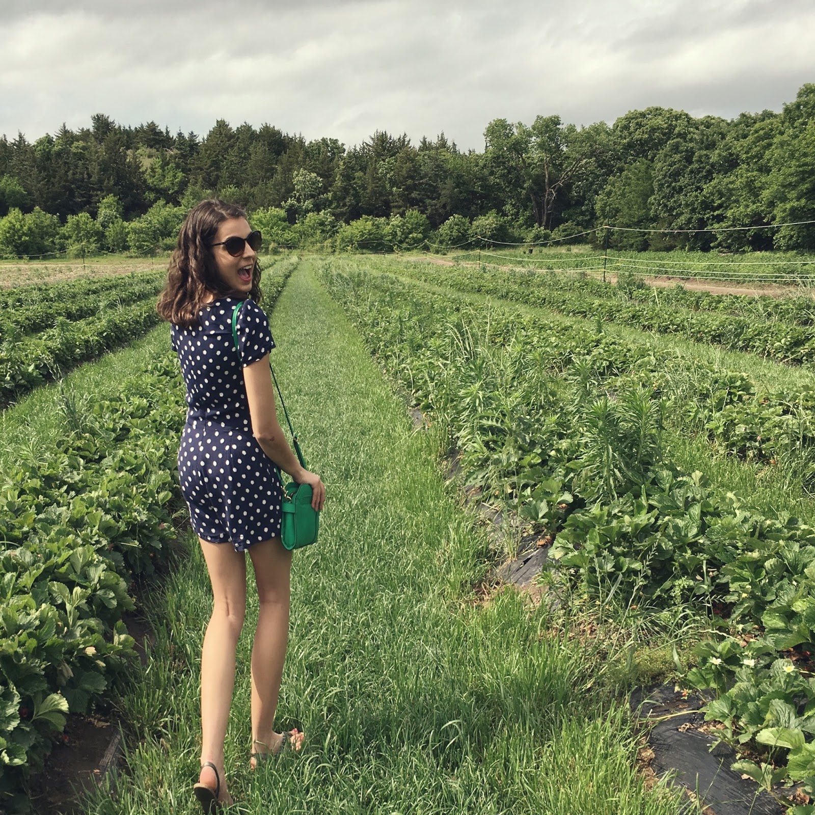 Strawberry Fields Forever Maya's Adventures