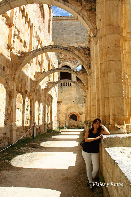 Monasterio de San Pedro de Arlanza, Burgos