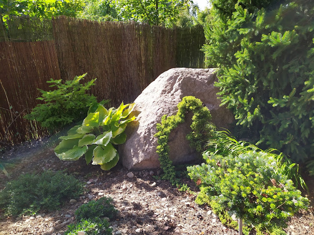 kamień w ogrodzie