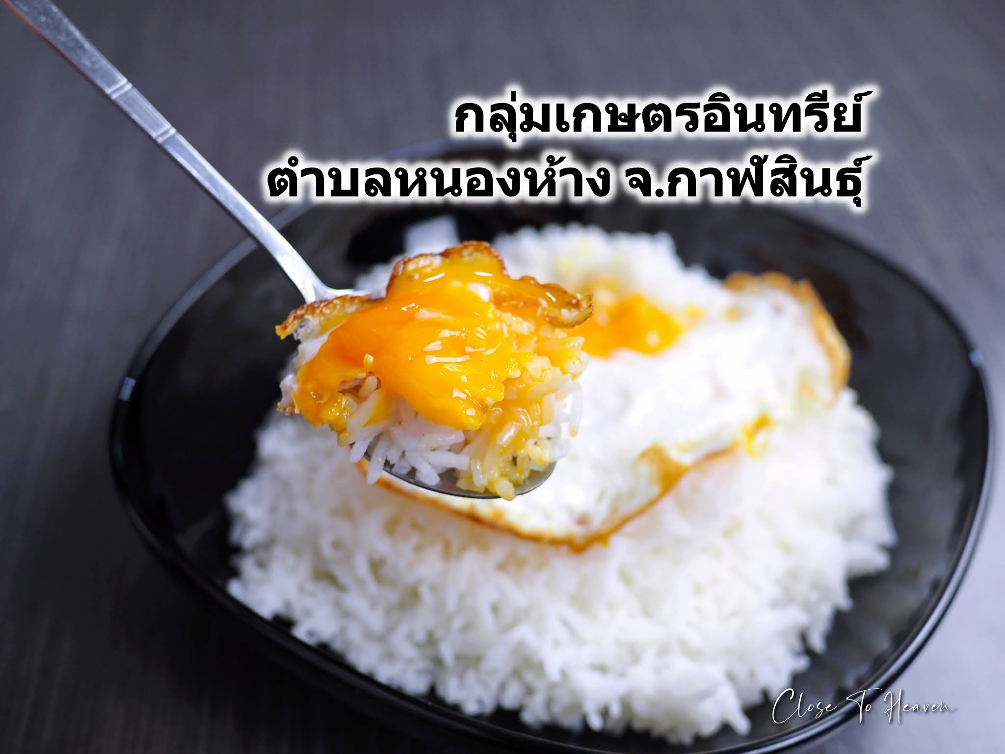 ข้าวเขาวง ของดี จ.กาฬสินธุ์ นุ่ม หอม อร่อย ไม่ติดมือ