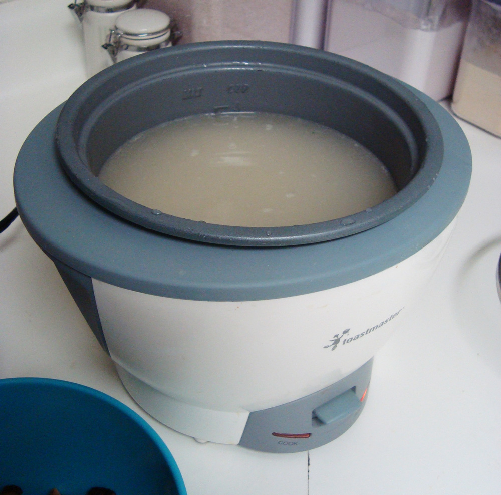 JWo Designs: Chinese Sticky Rice