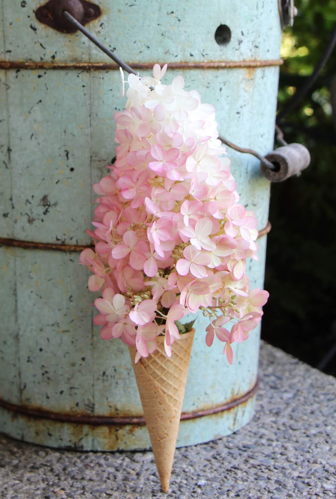 Prairie Rose S Garden August Bloom Day