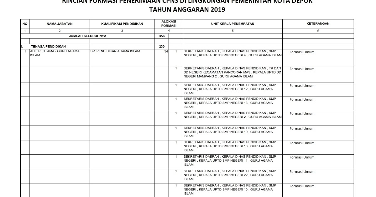 Formasi cpns kota depok