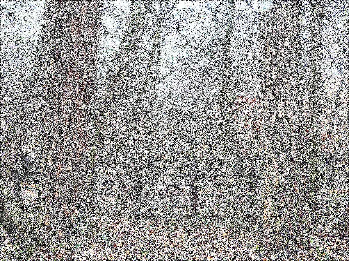 원주 구룡사 원주 구룡사