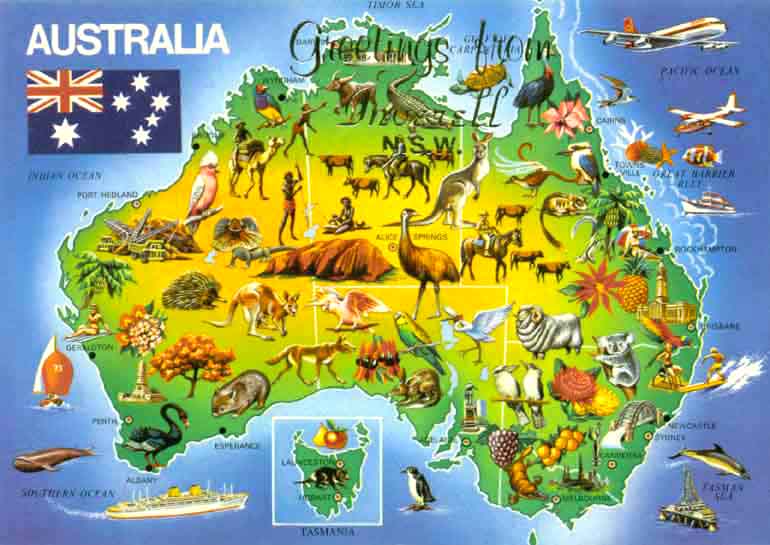 PALLON VIEMÄÄ: AUSTRALIAN ANIMALS