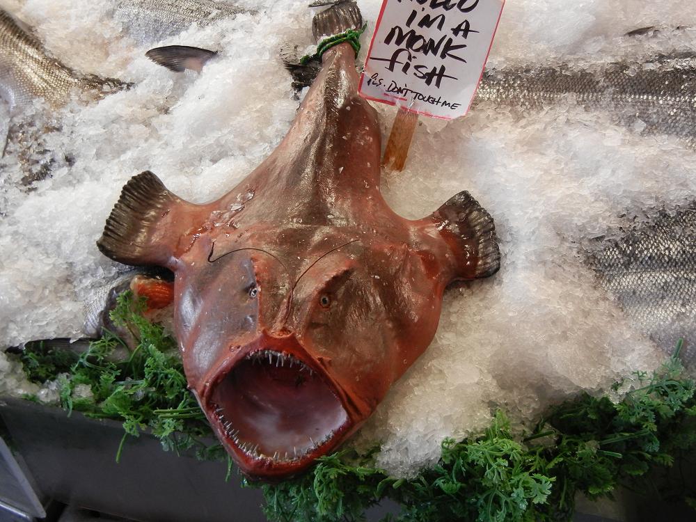 эрилепис. Lophius budegassa. рыба монах. королевский монах рыба. морской монах.