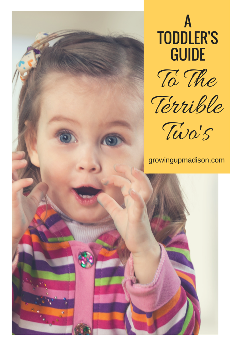 A Toddler’s Guide to the Terrible Two’s