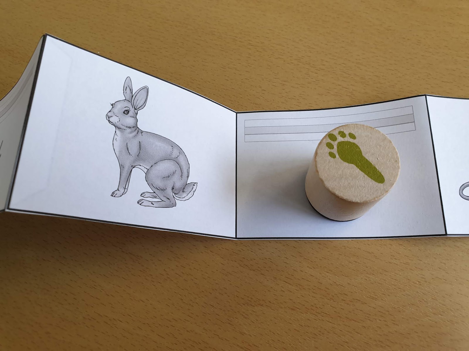 Grundschultante Tierspuren Leporello