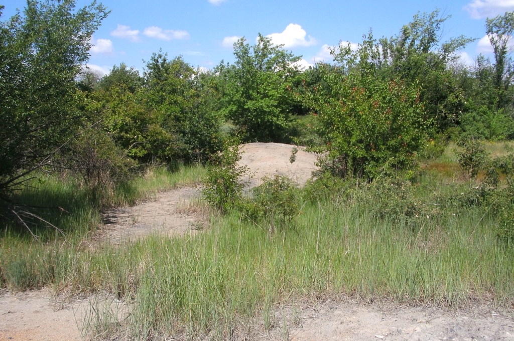 Шахти та рудники Донбасу: Шахты в селе Золотой Колодезь
