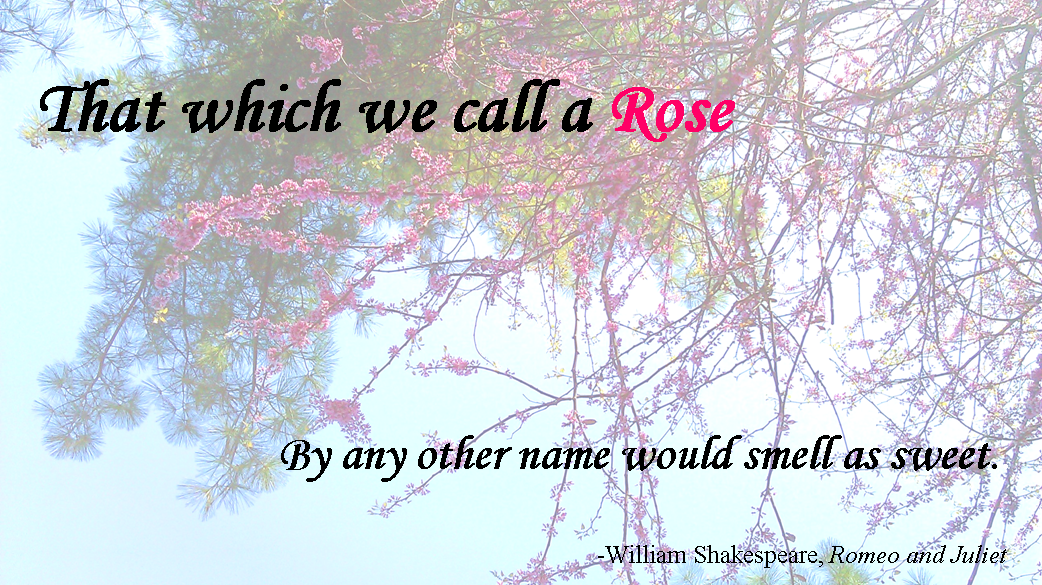 Forever Language A rose by any other name...