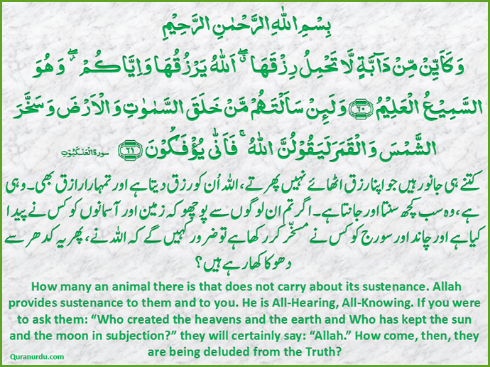Asaan Deen Islam (Easy Islam): Daily Quran and Hadith ,18 Rabi Al Akhir