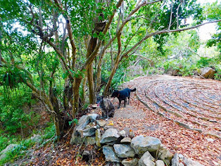 #labyrinth, labyrinth, #payabay, #payabayresort, wellness, mystical, meditation, nature, meditational labyrinth