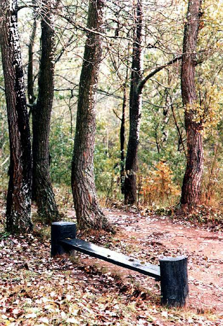 Bench, Kalnai Park, Vilnius