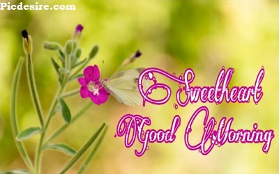 Good Morning Sweetheart, Best 20 Images of Good morning Sweetheart Good Morning Sweetheart, Best 20 Images of Good morning Sweetheart