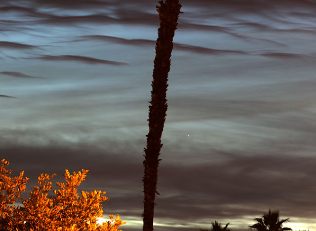 Darn!; Mercury, rises behind clouds at 5:54 am, but Spica, right of palm tree, is visible (Source: Palmia Observatory)