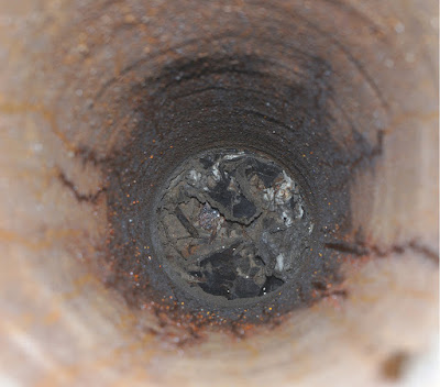 Странна мравешка колония живее в изоставен атомен бункер Oo_100895