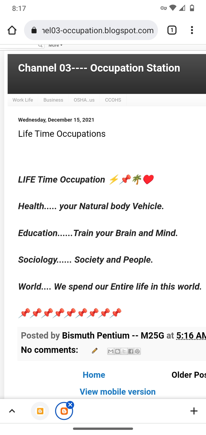 LIFE Time Occupations