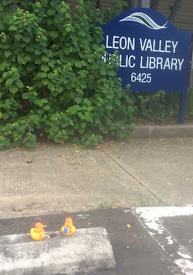 another photo of 2 duckies on curb in front of LVPL sign