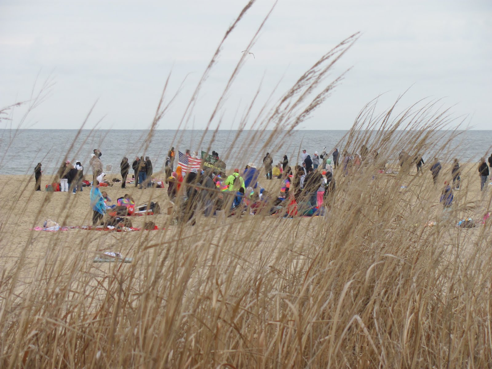 Pi Gamma Mu Delaware BETA Chapter Polar Bears Plunge in 2012