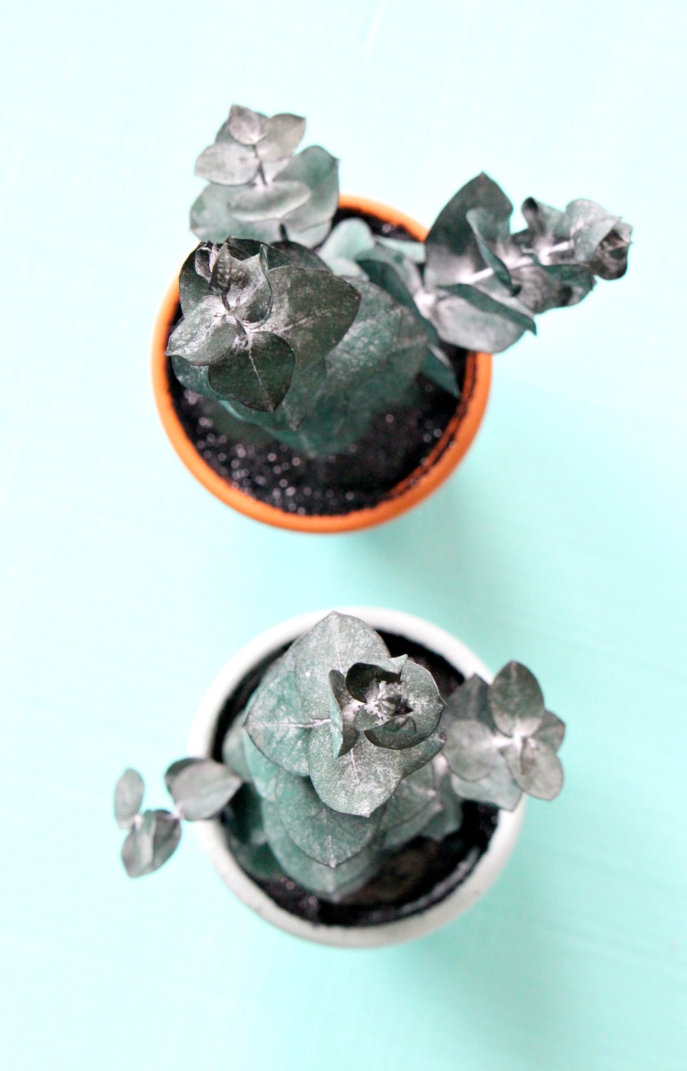 DIY Gifts for Green Thumbs DIY Gifts for Green Thumbs